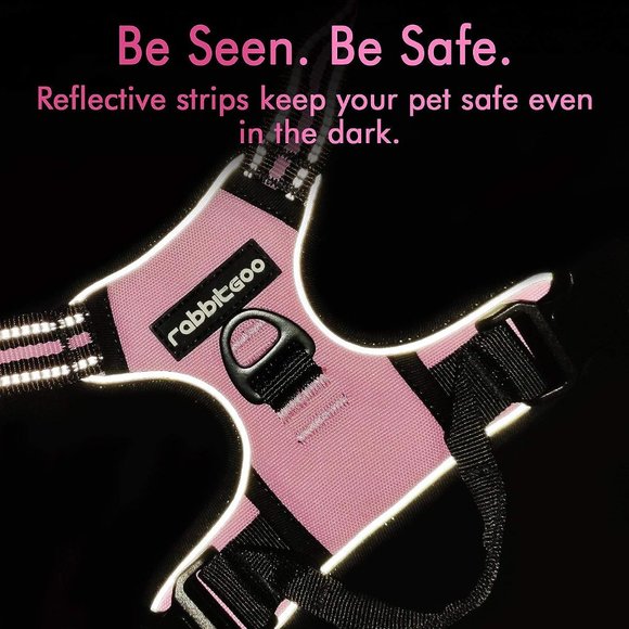 Rabbitgoo Dog Harness, No-Pull Pet Harness with 2 Leash Clips - Picture 8 of 8